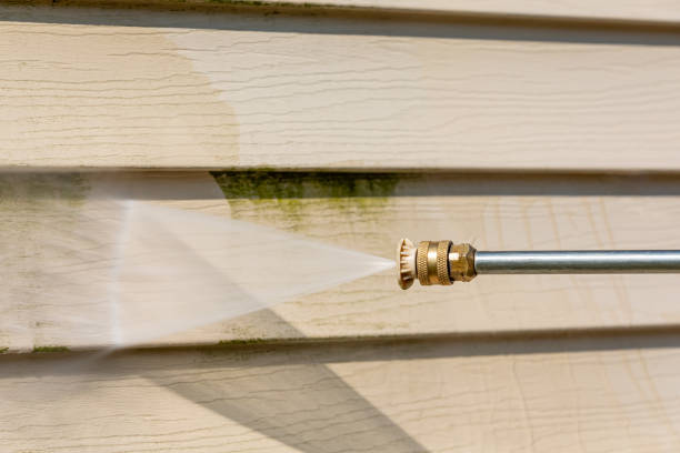Best Roof Pressure Washing  in Hamburg, NJ